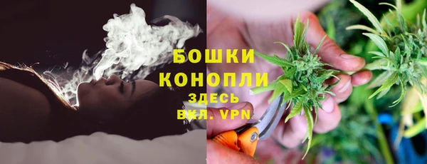 PSILOCYBIN Вязники