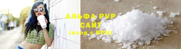 ECSTASY Новозыбков