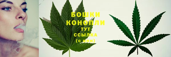каннабис Новокубанск