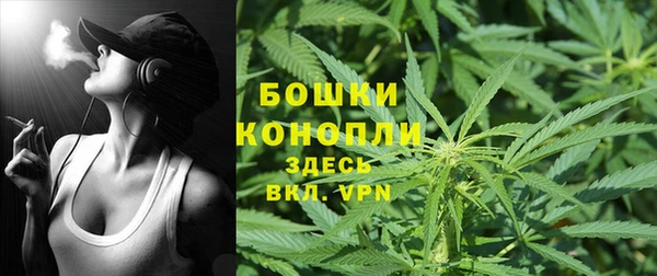 каннабис Новокубанск