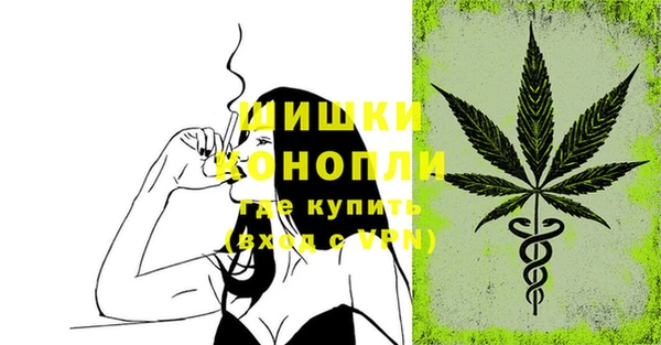 ECSTASY Новозыбков