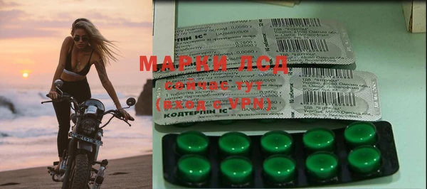 ECSTASY Новозыбков