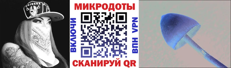 Галлюциногенные грибы Magic Shrooms  Западная Двина 