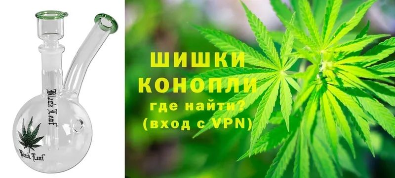 Канабис White Widow  Западная Двина 